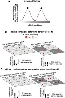 Effects of abiotic heterogeneity on species densities and interaction strengths lead to different spatial biodiversity patterns